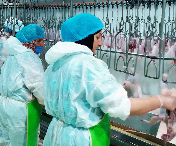 Production line